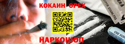 индика Кингисепп