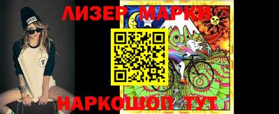 индика Кингисепп