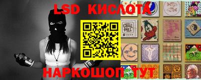 крисы Кинель