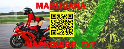 индика Кингисепп