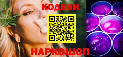 индика Кингисепп