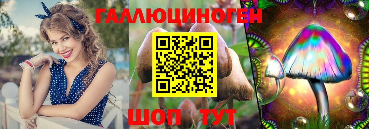 Кропоткин  Галлюциногенные грибы GOLDEN TEACHER  Галлюциногенные грибы GOLDEN TEACHER  Вход с VPN 