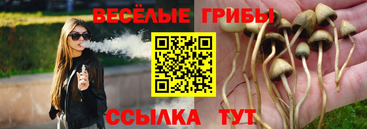 Псилоцибиновые грибы прущие грибы Кропоткин